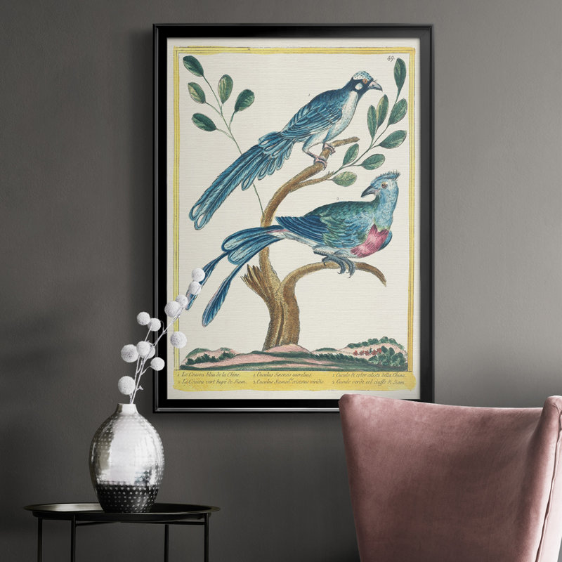 Toile encadrée Pastel Birds VI Premium - prête à être accrochée, H 36,5 po x l 26,5 po x P 1 po, Noir