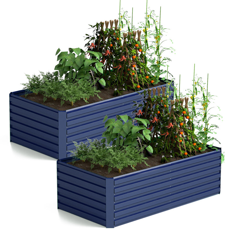 Lit de jardin surélevé en métal Minhchau, 2, H 24 po x l 96 po x P 48 po, Bleu royal