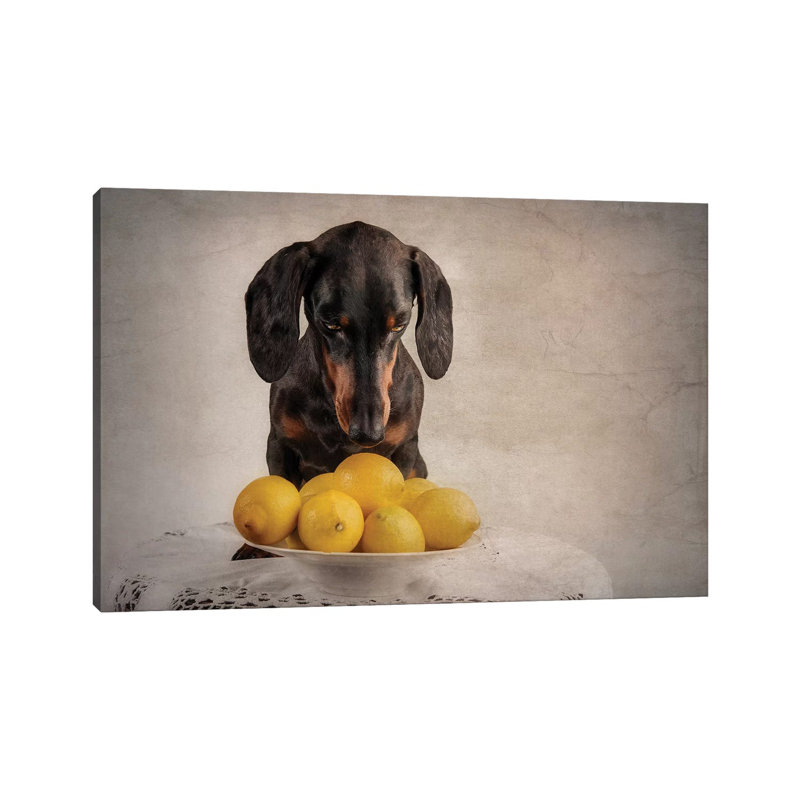 When Life Gives You Lemons... by Heike Willers - Wrapped Canvas Gallery-Wrapped Canvas Giclée
