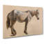 Study Of A Grey Horse by Jacques-Laurent Agasse - Wrapped Canvas Painting-61837922