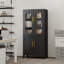 Armoires garde-manger faciles à assembler avec portes transparentes et rangement multifonctionnel-419515560