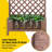 Shirberg Wood Elevated Planter