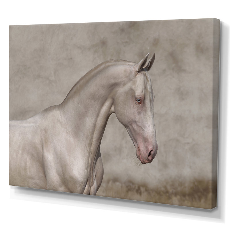 Portrait d'un cheval blanc au galop III - reproduction sur toile, H 24 po x l 32 po, Toile tendue