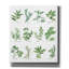 «August Herbe» par Chris Paschke-72011123