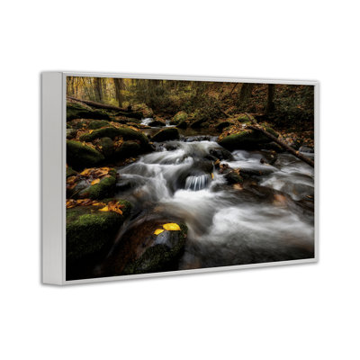 Fallen Leaves on Stream Framed Giclee, design by D. Burt