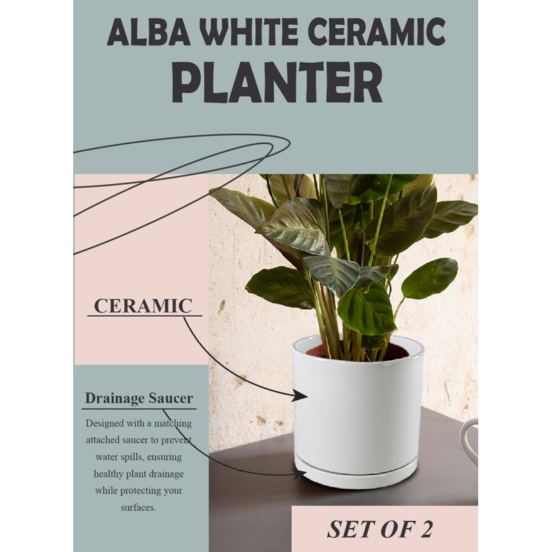  Pot à fleurs Alba