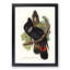 Great-Billed Black Cockatoos by Elizabeth Gould - Picture Frame Painting Print-55575322-55575323