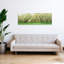 Rows Of Cherry Tress In An Orchard Minnesota USA 1 Piece Wrapped Canvas Panoramic Wall Art-409549553