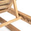 Caldas Outdoor Chaise Lounge-891488529