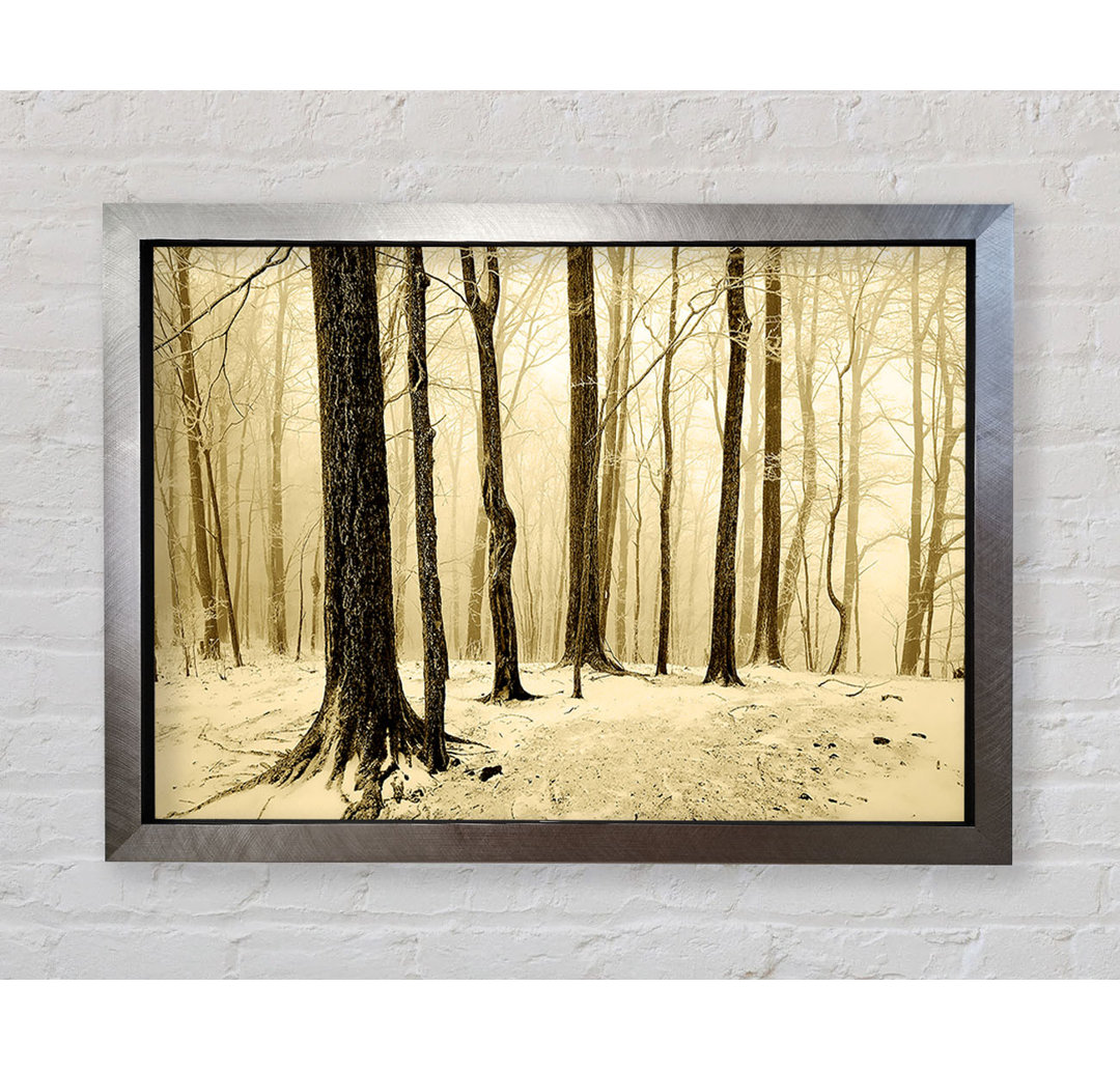 Winter Woodland Snow - Einzelner Bilderrahmen Kunstdrucke