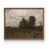 Noyer