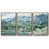 Noyer