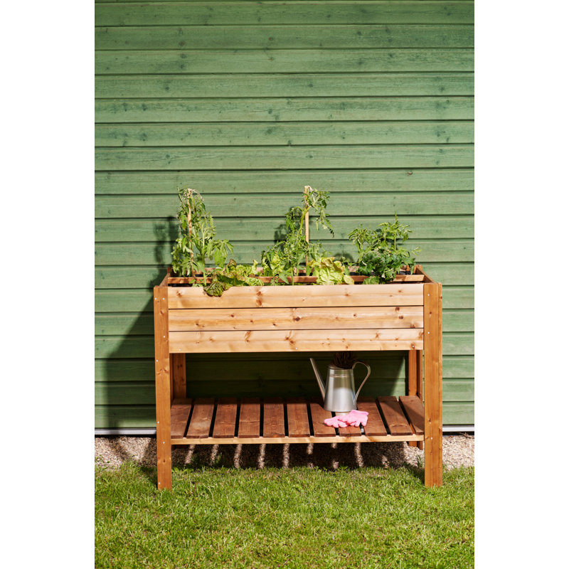 Lit surélevé rectangulaire avec tablette de 66 gallons Tierra Garden