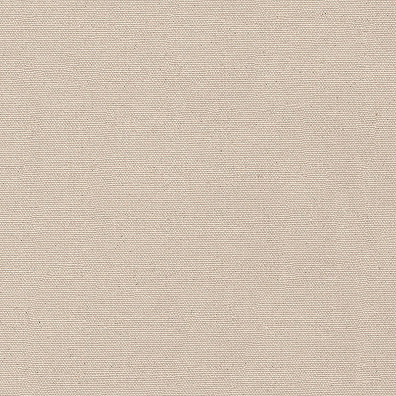 Abbeyshea 21 oz. Untreated Canvas Duck 60" Wide Fabric By The Yard