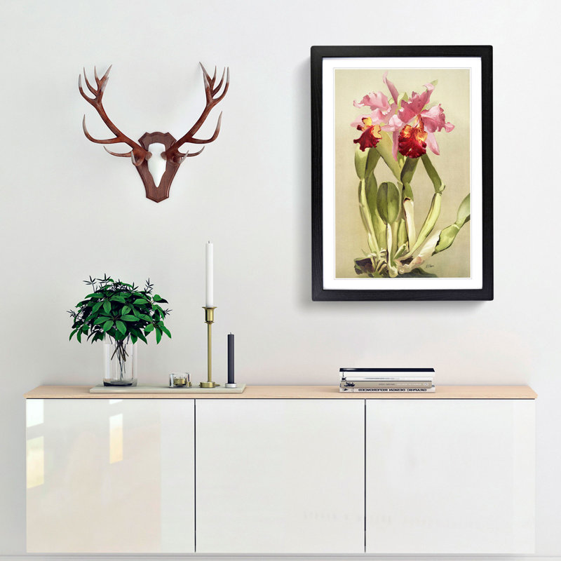 Magnolia Flowers Illustration Tab. 55 by Frederick Sander - Picture Frame Painting Print, 91cm H x 60cm W x 2cm D, Black