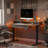 Emanuiel Height Adjustable Standing Gaming Desk-942113965