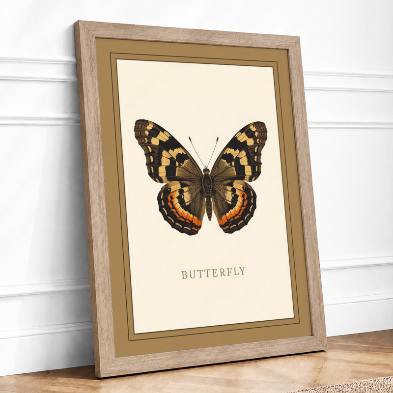 Butterfly Specimen Study Botanical - Print, Oak, A4 - 29.7 x 21.0 cm