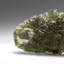 Genuine Moldavite Tektite (18.8 grams)-907418947