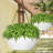 Hanging Planter-1286674574