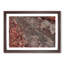 The Beauty of an Autumn Leaf - Picture Frame Photograph Print-55640325-55640327