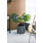 31.5'' Faux Fern Tree in Cement Pot