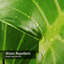 Rideau de douche Monstera-183123560