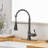 Single Handle Pull Down Sprayer Kitchen Faucet With Advanced Spray, Pull Out Spray With Deck Plate In-105517886