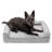 Orthopedic Polyester Pet Bed-13971955-13971957