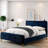 Upholstered Platform Bed-21119599-21119595