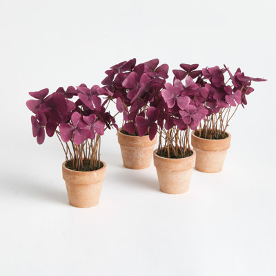 Ensemble de 4 mini-pots de 7 po Barringer