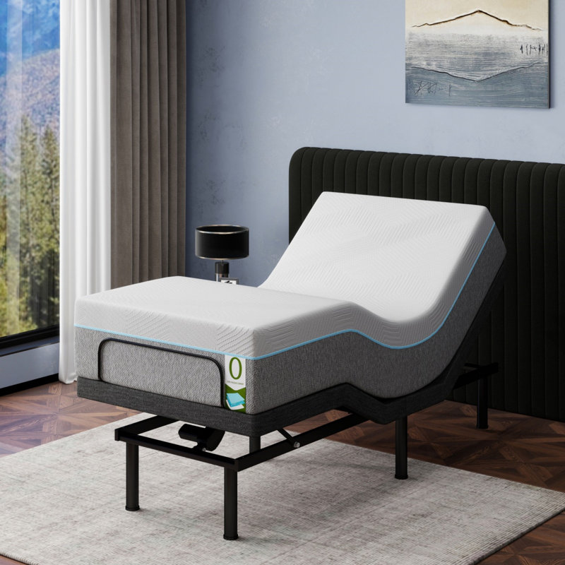 Modern Electric Adjustable Bed Frame With 12" Mattress, Wireless Remote, Anti-Snore Feature,Tool-Free Assembly, Twin XL