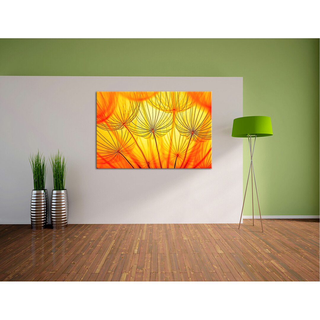 Leinwandbild Pusteblumen oranges Licht