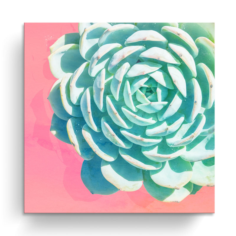 « réveil ii », impression sur toile succulent, H 10 po x l 10 po x P 1,5 po, Toile tendue