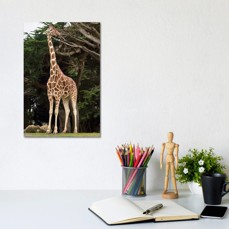 Giraffe I by Nikita Abakumov - Wrapped Canvas Gallery-Wrapped Canvas Giclée
