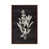 Classic Brown Wood Framed