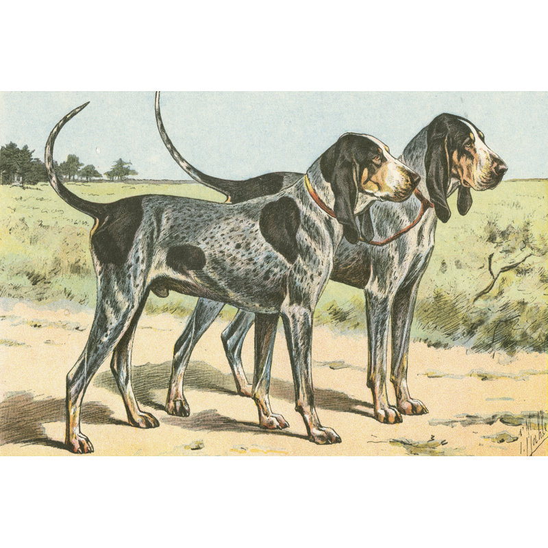 Mans Best Friend VIII - Wrapped Canvas Print, 46cm H x 30cm W x 3.8cm D