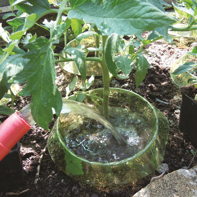 Azaleia Saucer Plant Stand