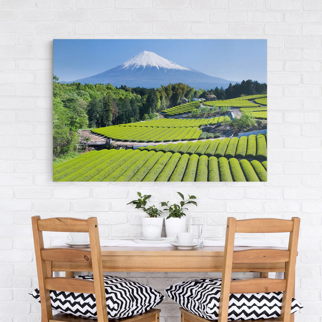 Leinwandbild Tea Fields Beneath Mount Fuji