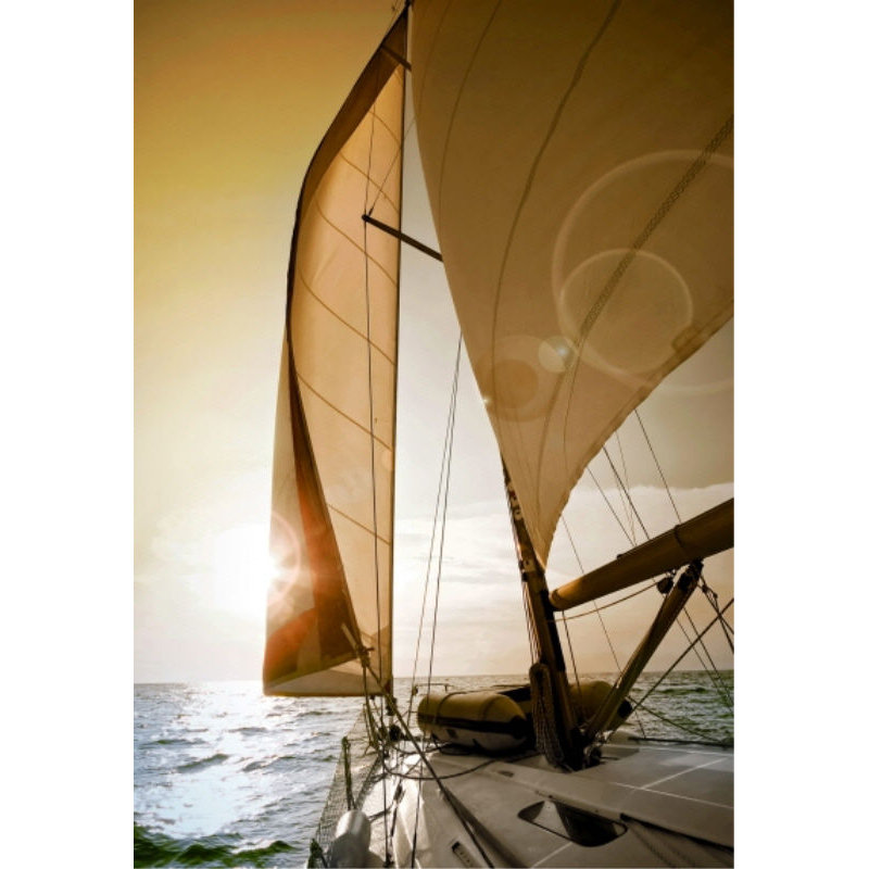 Sunset Sail III Print by Sofia Fox, Outdoor, 45" H x 30" W x 1.5" D
