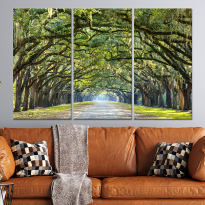 Savannah Oak Trees Canvas Art: Forest Line Print Wall Decor,3P Wrapped Canvas