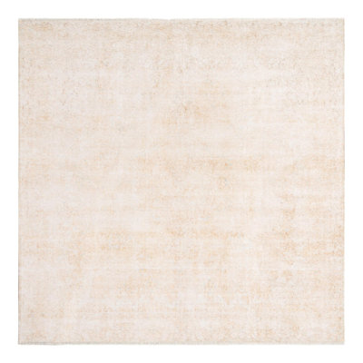 Rugs.com Jasmina Boutique Rug