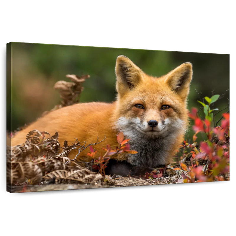 Happy Fox, 30" H x 45" W