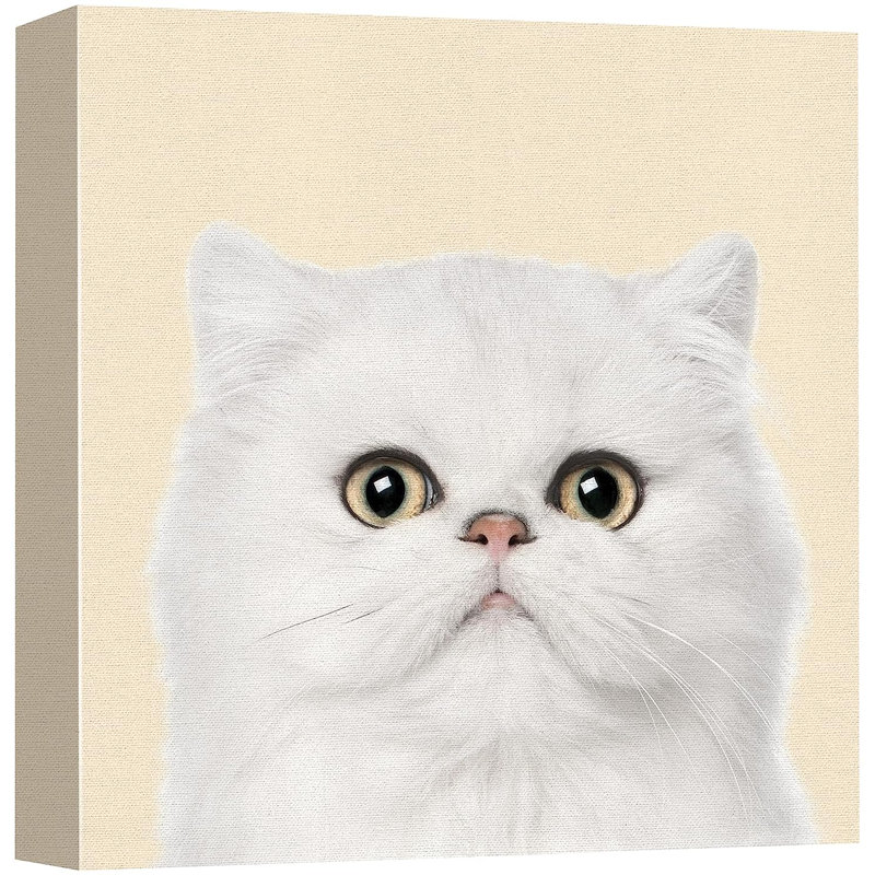 Baby Animals " White Cat ", 12" H x 12" W x 1.5" D