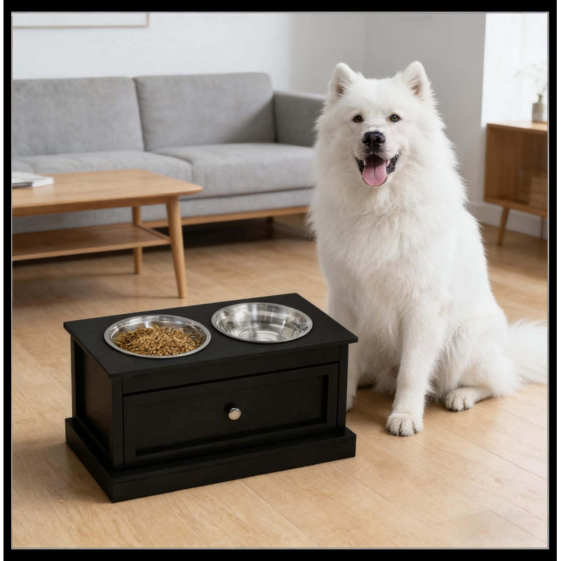 Station de nourriture pour chien, support de bol pour chien surélevé