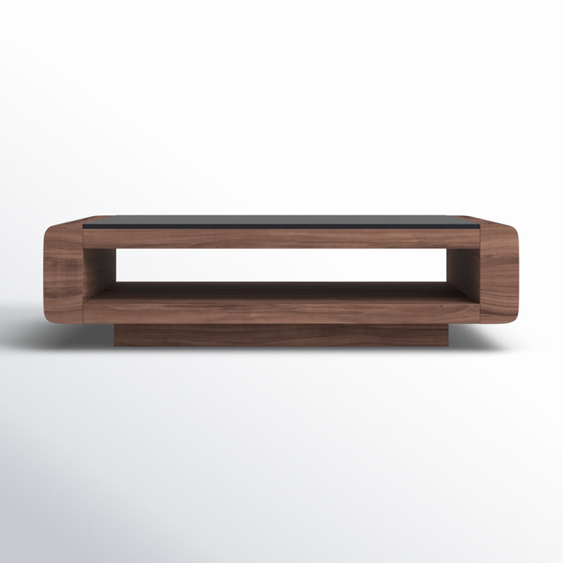 Ryean Solid Coffee Table with Storage