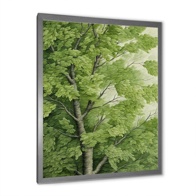 American Basswoods Tree Bliss - Art mural sur toile de tilleul américain