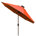 Carrot Red