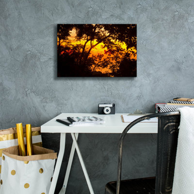 Art mural sur toile Latitude Run® «Deep Forest Sunset» par Mark Ashkenazi