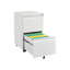 [requires assembly] Office Storage Cabinet, 2 Drawers File Cabinet With Lock Metal Vertical File Cabient With Wheels Mobile File Cabinet For Office Home Legal/Letter/a4 Size