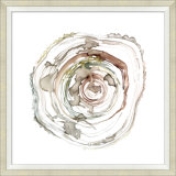 Tree Rings 1 Print